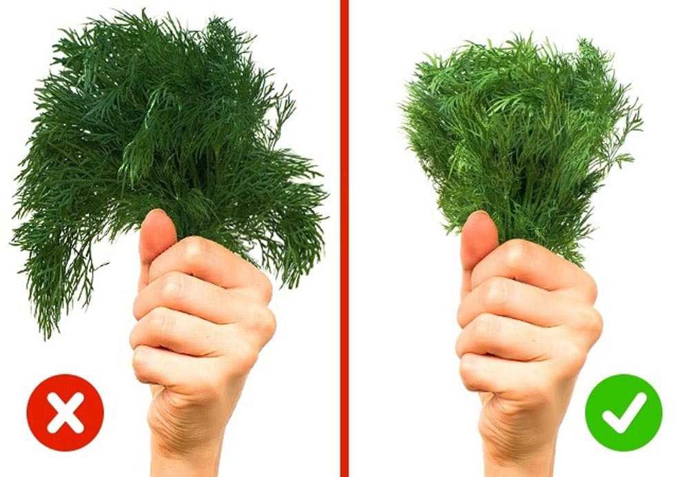 10 cách kiểm tra thực phẩm chất lượng nhanh chóng và dễ dàng