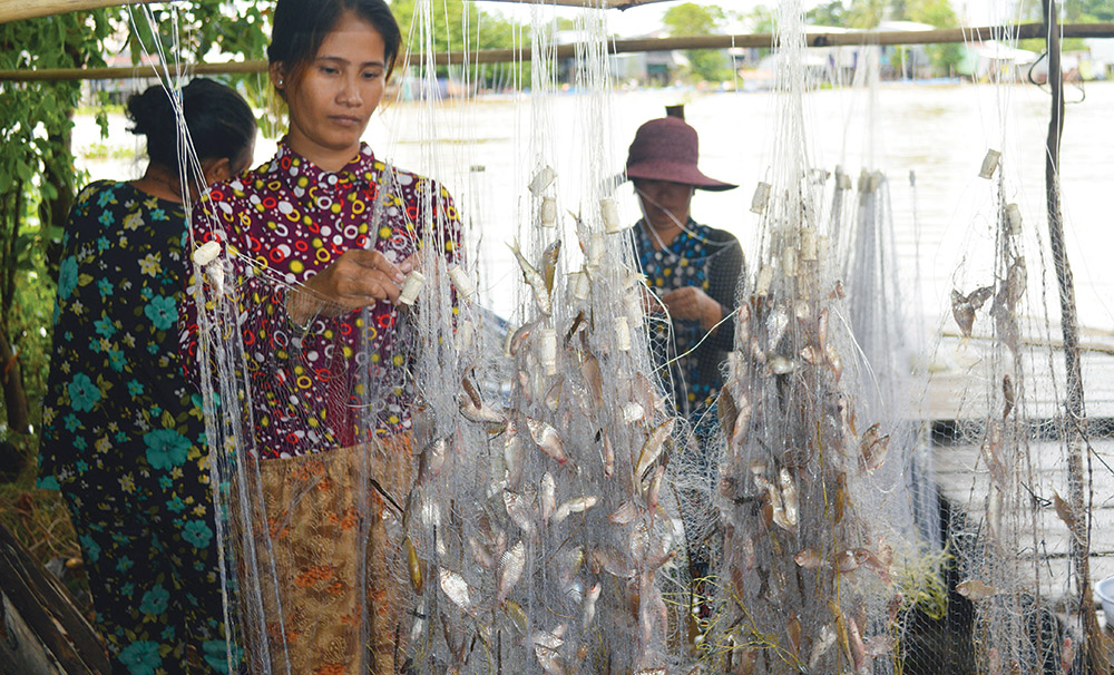 Về đồng ăn cá!