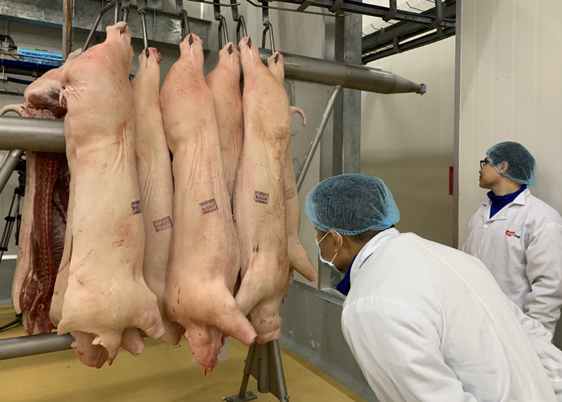 Giá lên đỉnh kỷ lục, thịt lợn sẽ tiếp tục tăng đến Tết