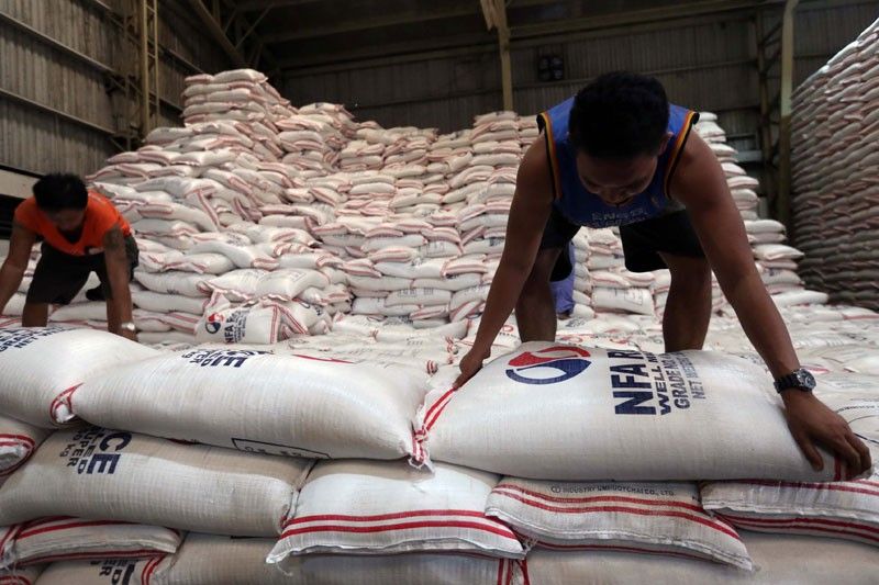 Philippines sẽ giảm nhập khẩu gạo trong năm tới