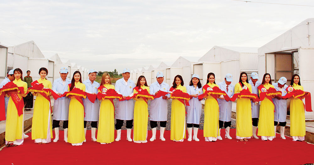 Tập trung hoàn thành tốt nhiệm vụ năm 2019