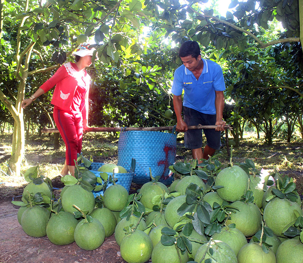 Châu Phú xây dựng nông thôn mới