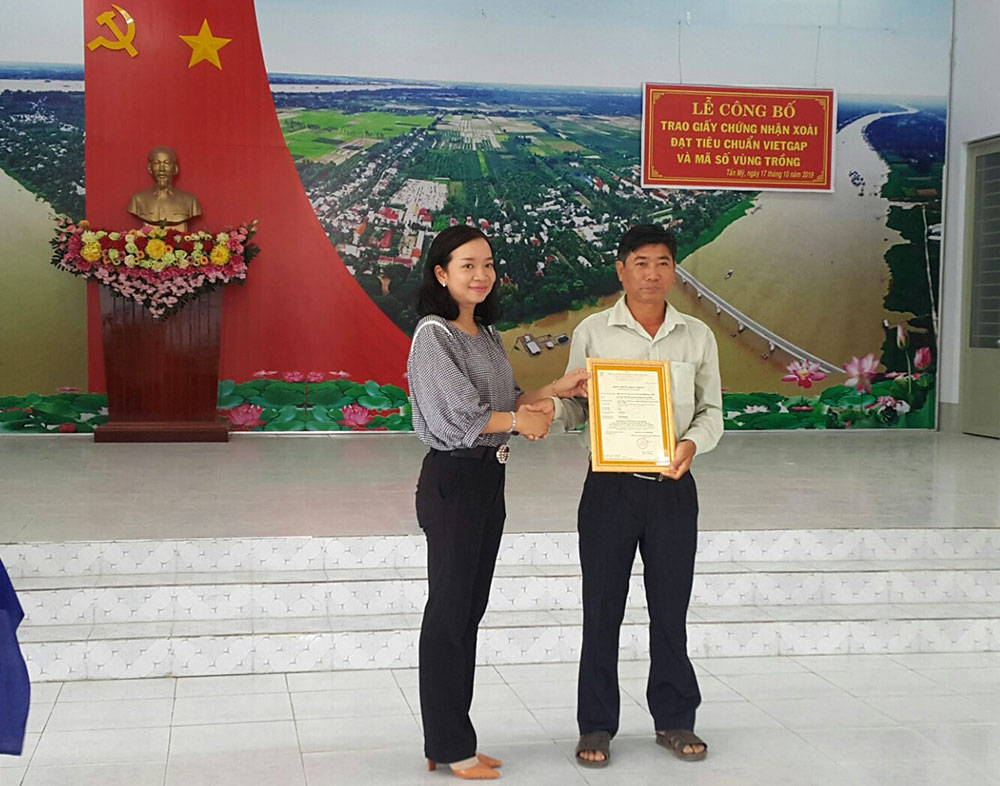 Chợ Mới công bố và trao giấy chứng nhận 311 ha xoài đạt tiêu chuẩn VietGAP và cấp 7 mã số vùng trồng