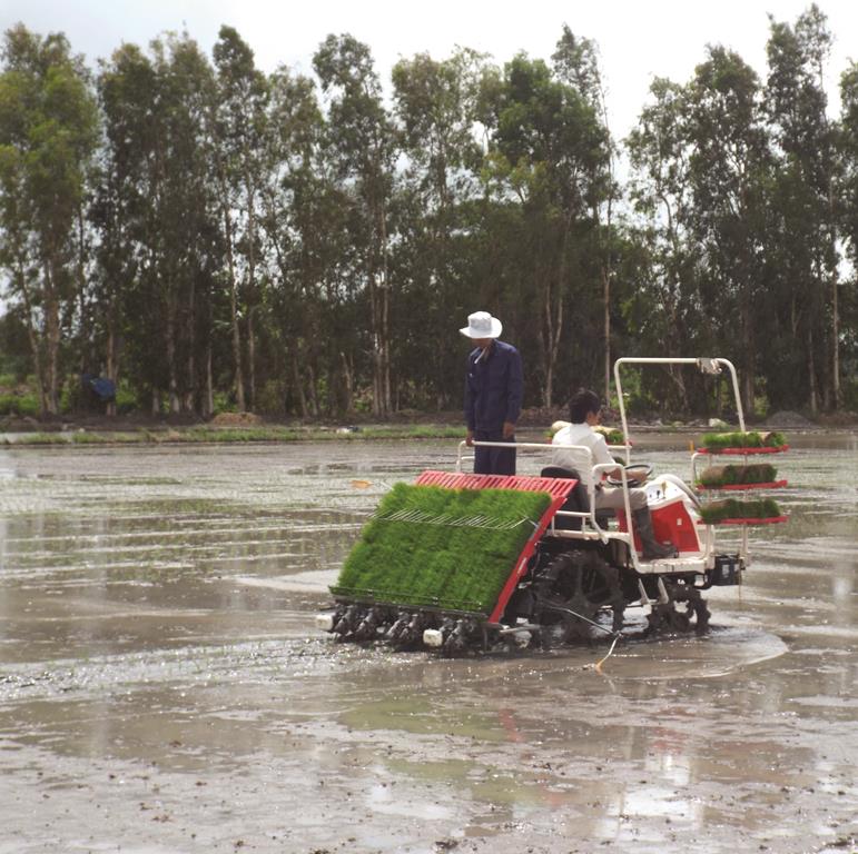 Đột phá phát triển kinh tế tập thể