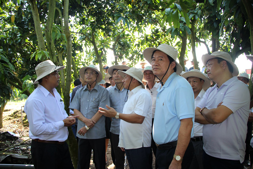 Bí thư Tỉnh ủy tỉnh Hà Tĩnh Lê Đình Sơn thăm và làm việc tại An Giang Bí thư Tỉnh ủy tỉnh Hà Tĩnh Lê Đình Sơn thăm và làm việc tại An Giang