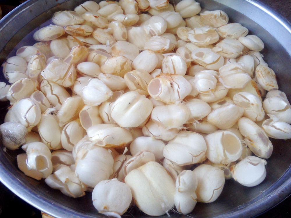 Những món ngon phải thử khi về Bảy Núi