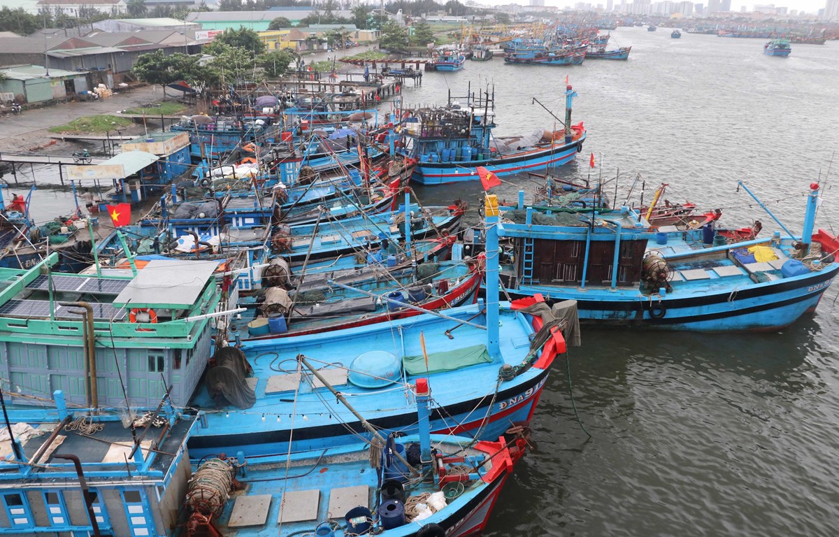 Bão số 5 mạnh thêm, đi vào đất liền từ Quảng Ngãi đến Khánh Hòa