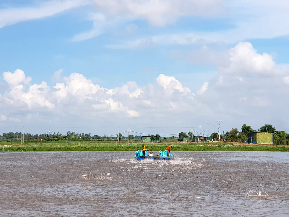 An Giang mời gọi doanh nghiệp Châu Âu đến đầu tư An Giang mời gọi doanh nghiệp Châu Âu đến đầu tư