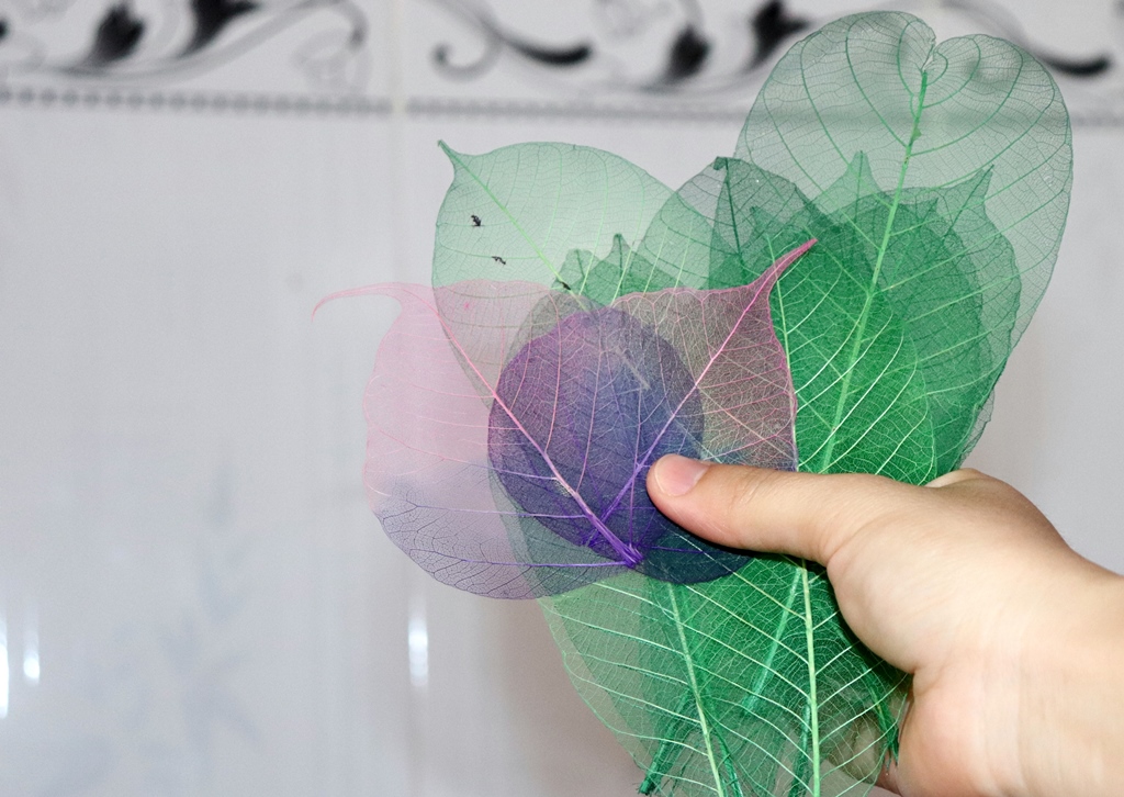 Sáng tạo tranh từ gân lá