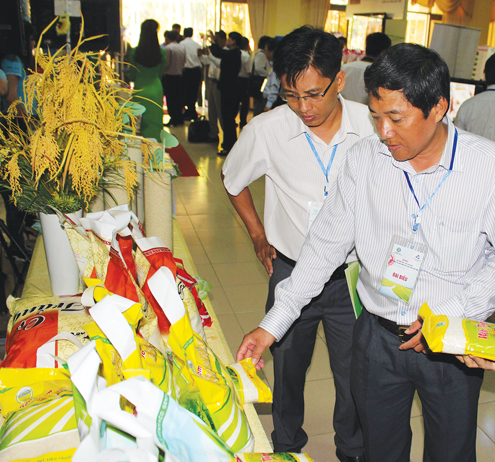 An Giang chuẩn bị tốt Diễn đàn Mekong Connect 2019 An Giang chuẩn bị tốt Diễn đàn Mekong Connect 2019