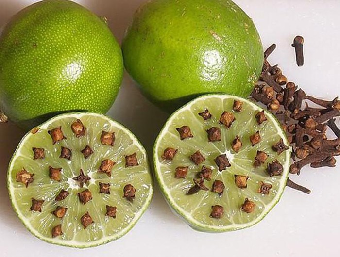 Những cách phòng chống muỗi tại nhà đơn giản và hiệu quả nhất