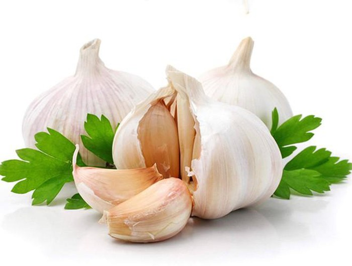 Những cách phòng chống muỗi tại nhà đơn giản và hiệu quả nhất