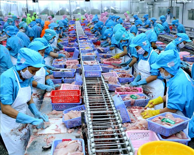 Dự báo xuất khẩu ít biến động trong 2 tháng cuối năm
