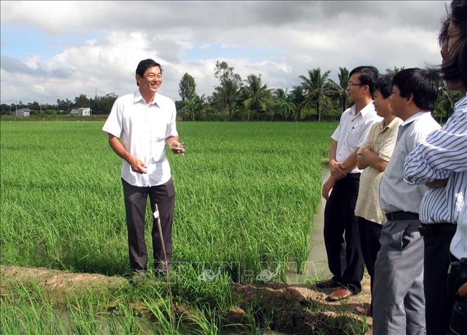 Gạo ST24 của Sóc Trăng được công nhận là gạo ngon nhất thế giới năm 2019