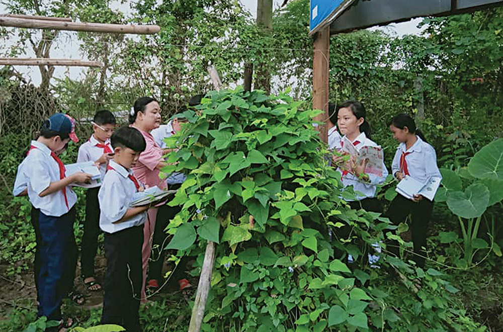 “Vườn rau sạch - gây quỹ giúp bạn học nghèo”