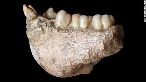 Hóa thạch tiết lộ ‘King Kong’ có họ hàng với đười ươi