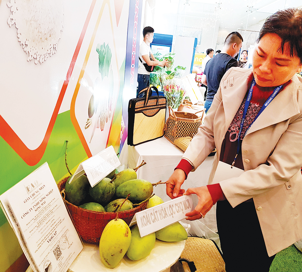 Chú trọng phát triển khoa học - công nghệ Chú trọng phát triển khoa học - công nghệ