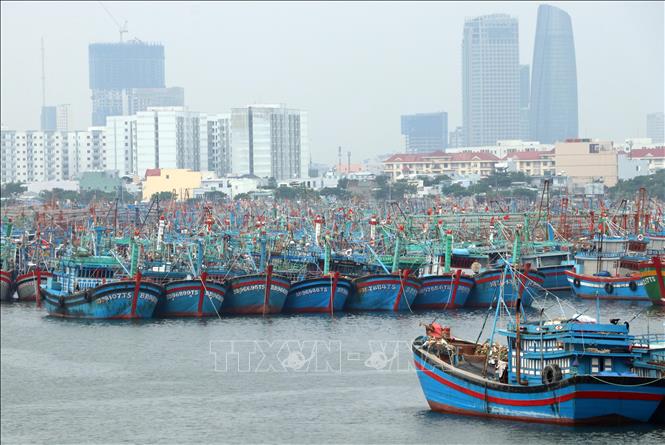 Công điện về chủ động ứng phó với bão và gió mùa Đông Bắc