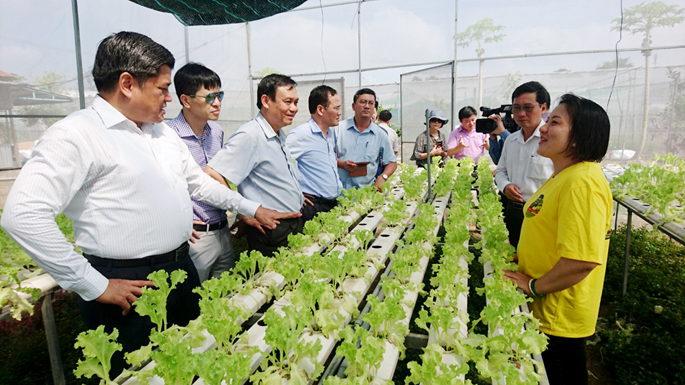 Thứ trưởng Bộ Nông nghiệp và Phát triển nông thôn Trần Thanh Nam làm việc tại An Giang