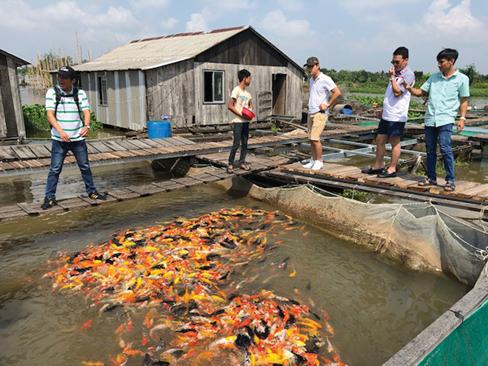 Cồn Sơn - “Quen” mà “lạ”
