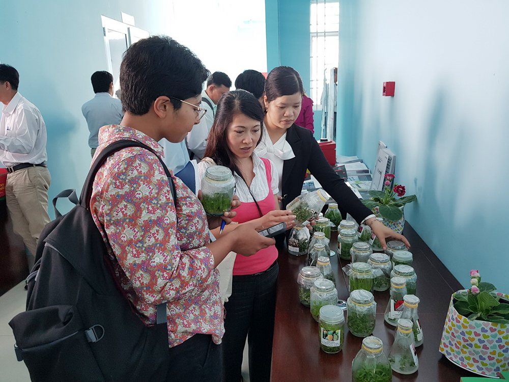 Bàn giải pháp ứng dụng công nghệ sinh học trong sản xuất nông nghiệp bền vững vùng ĐBSCL Bàn giải pháp ứng dụng công nghệ sinh học trong sản xuất nông nghiệp bền vững vùng ĐBSCL