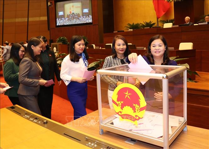 Ông Hoàng Thanh Tùng được bầu làm Chủ nhiệm Ủy ban Pháp luật của Quốc hội khóa XIV