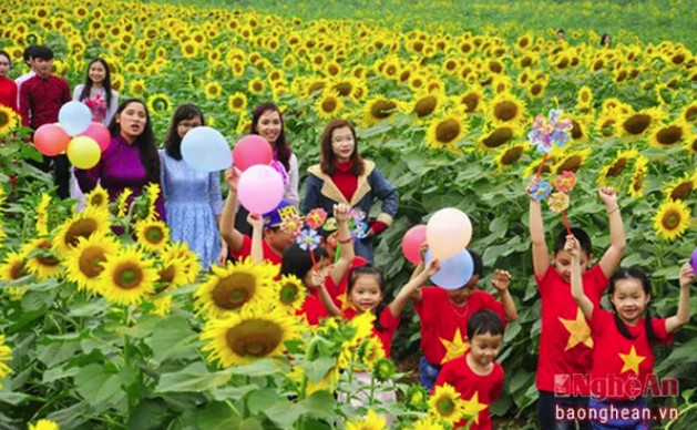 Lễ hội hoa hướng dương 2019 sẽ được tổ chức trong ba ngày