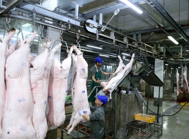 Khó khăn lắm mới nhập khẩu thịt lợn