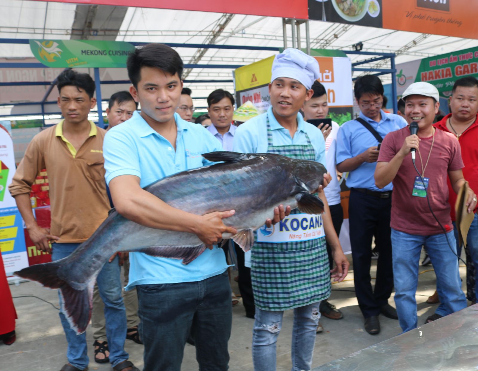 Xẻ thịt cá tra khổng lồ hơn 20 năm tuổi, bán giá 350.000 đồng/kg
