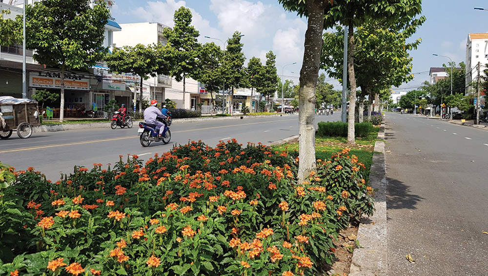 “Báo động” tình trạng mất cắp hoa kiểng