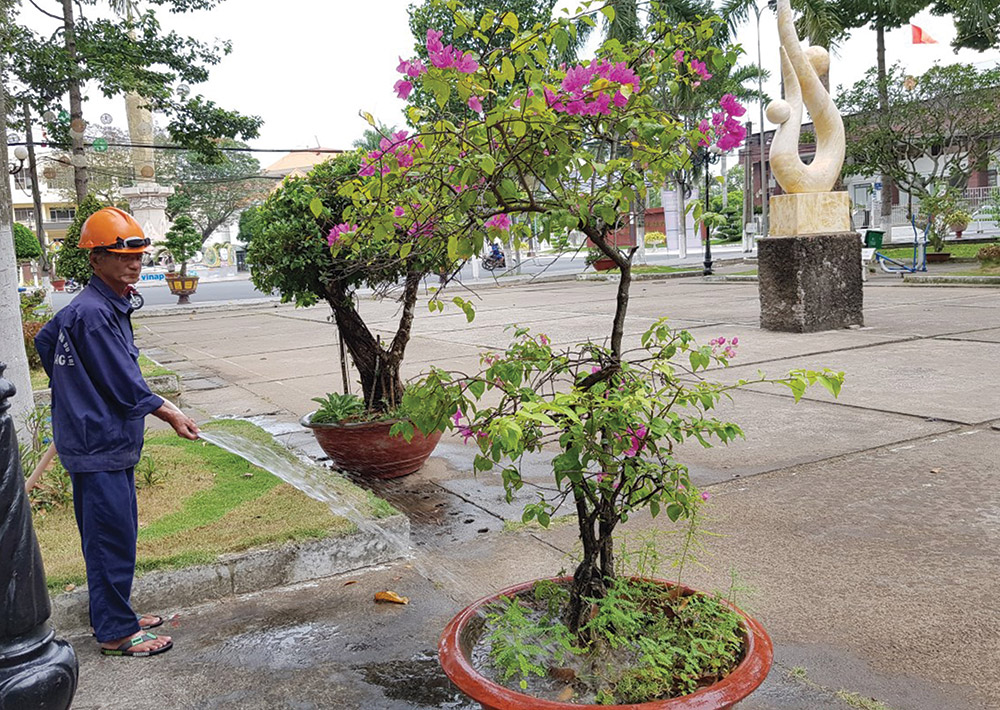 “Báo động” tình trạng mất cắp hoa kiểng