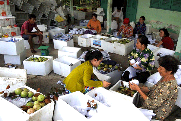 Mùa vú sữa