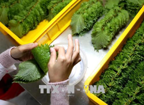 Xuất khẩu rau quả tháng 11/2019 giảm nhẹ