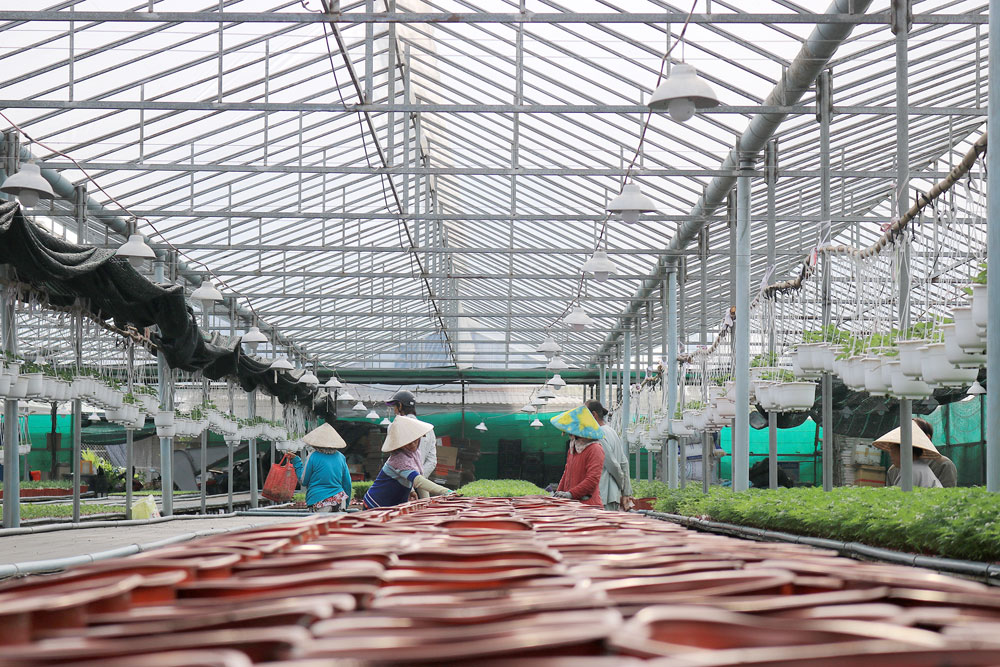 Thăm vườn hoa công nghệ cao