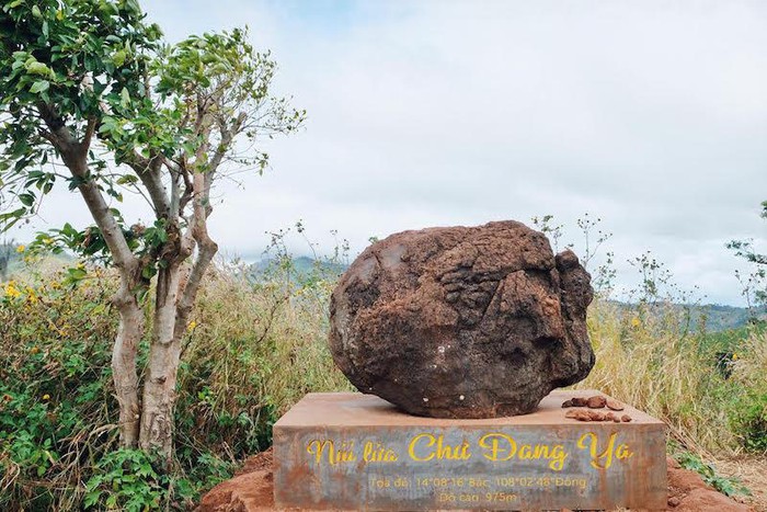 Mê hoặc mùa hoa dã quỳ núi lửa Chư Đăng Ya