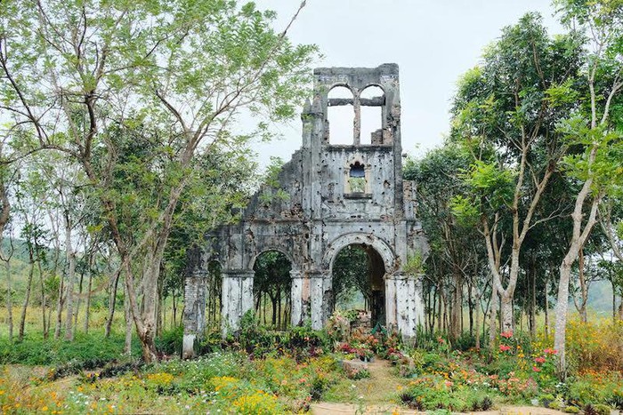 Mê hoặc mùa hoa dã quỳ núi lửa Chư Đăng Ya
