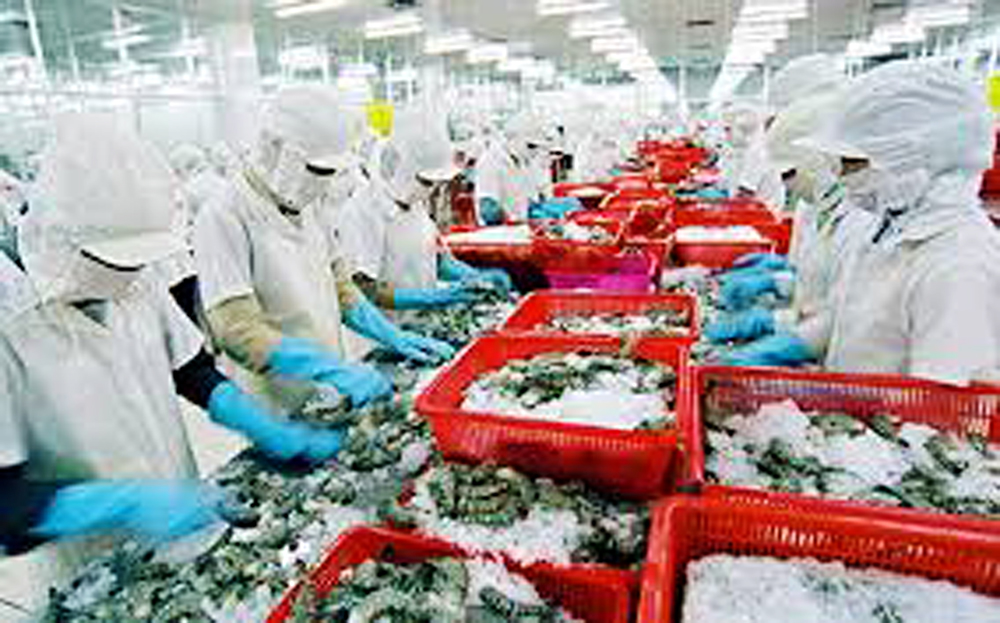 Trả lời cử tri về lĩnh vực nông, lâm, thủy sản