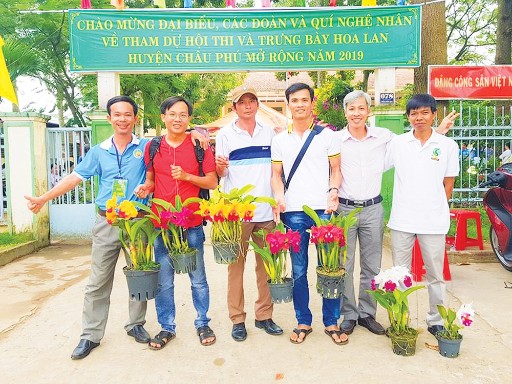 Đam mê vẻ đẹp lan rừng! Đam mê vẻ đẹp lan rừng!