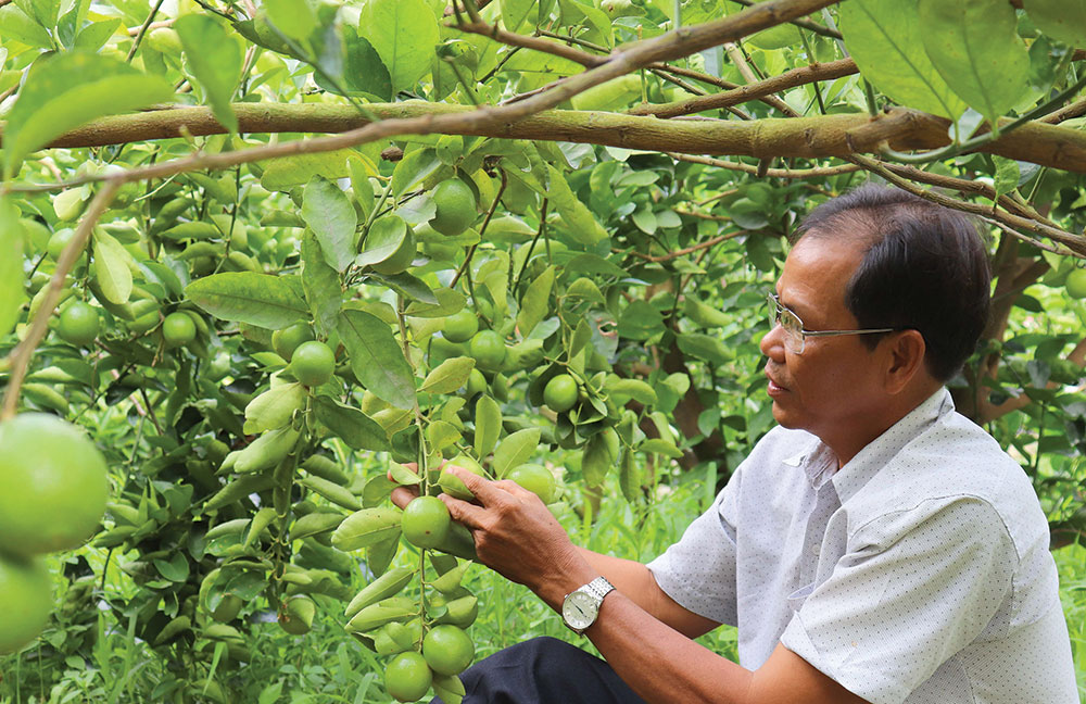 Nét mới ở họ đạo Thị Đam