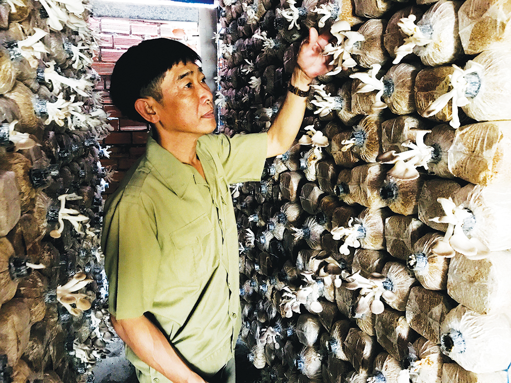 Cựu chiến binh làm kinh tế giỏi Cựu chiến binh làm kinh tế giỏi