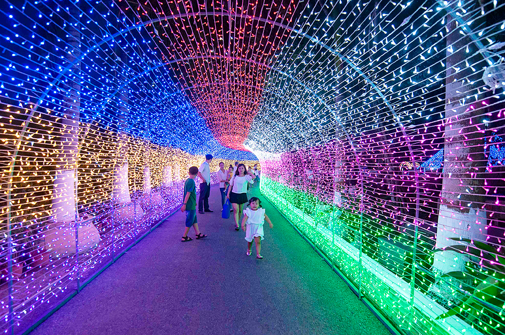 Vui Tết Canh Tý 2020 tại Khu du lịch Vạn Hương Mai