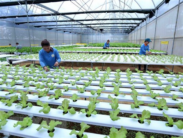 Luật Trồng trọt có hiệu lực, gắn sản xuất với chế biến nông sản