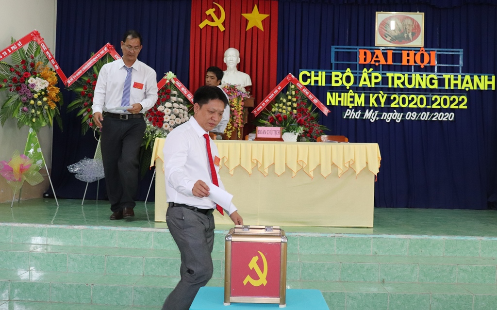 Phú Tân tổ chức Đại hội điểm chi bộ cụm xã, thị trấn và ngành