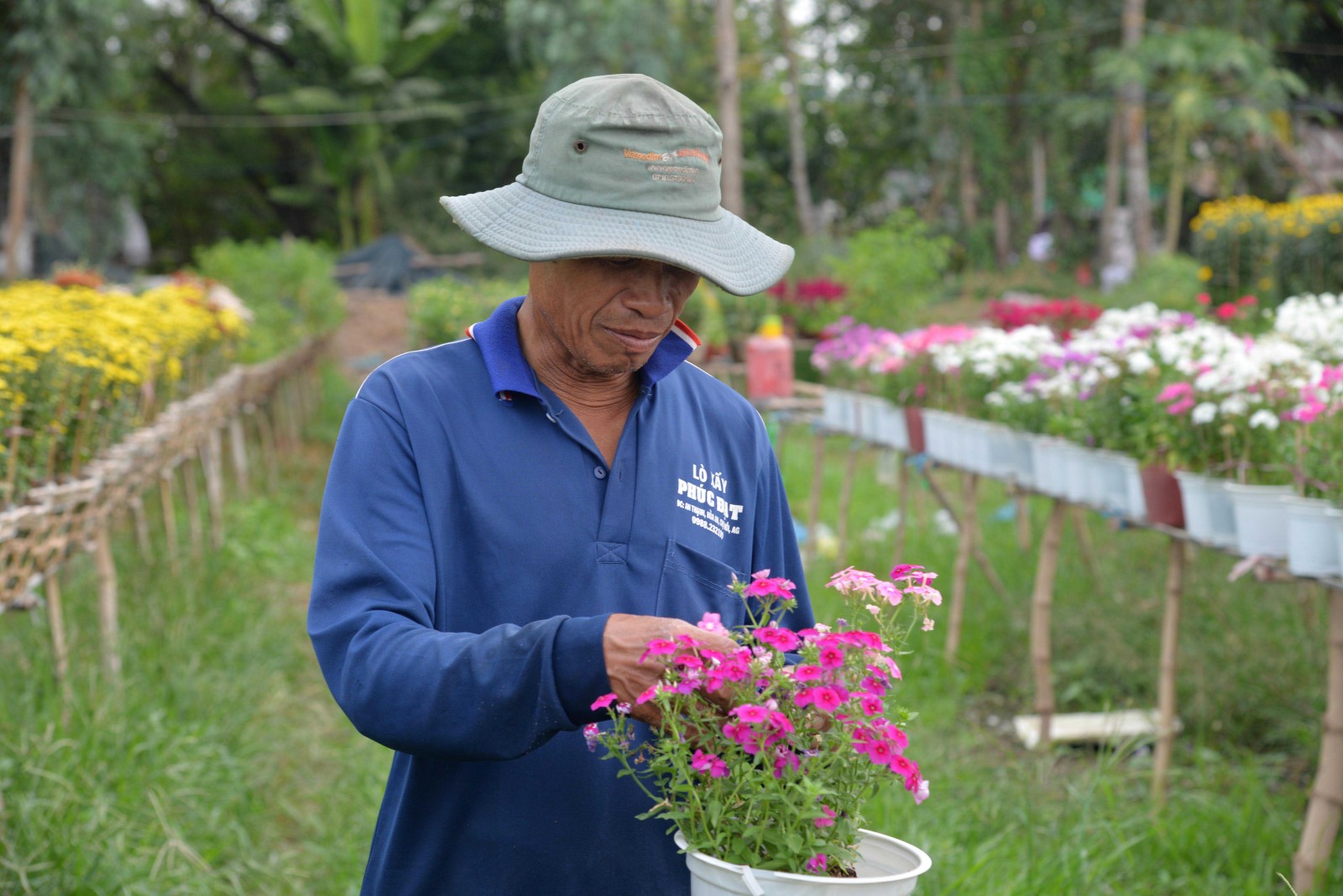 Làng hoa An Thạnh tất bật vào vụ Tết