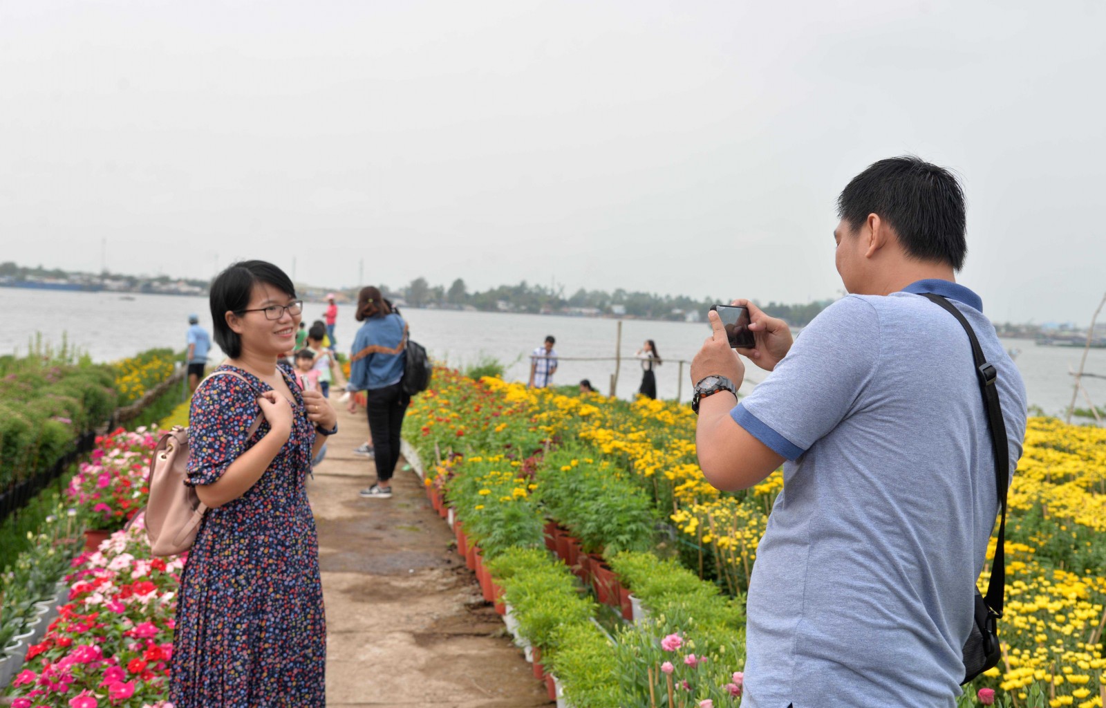 Làng hoa An Thạnh tất bật vào vụ Tết