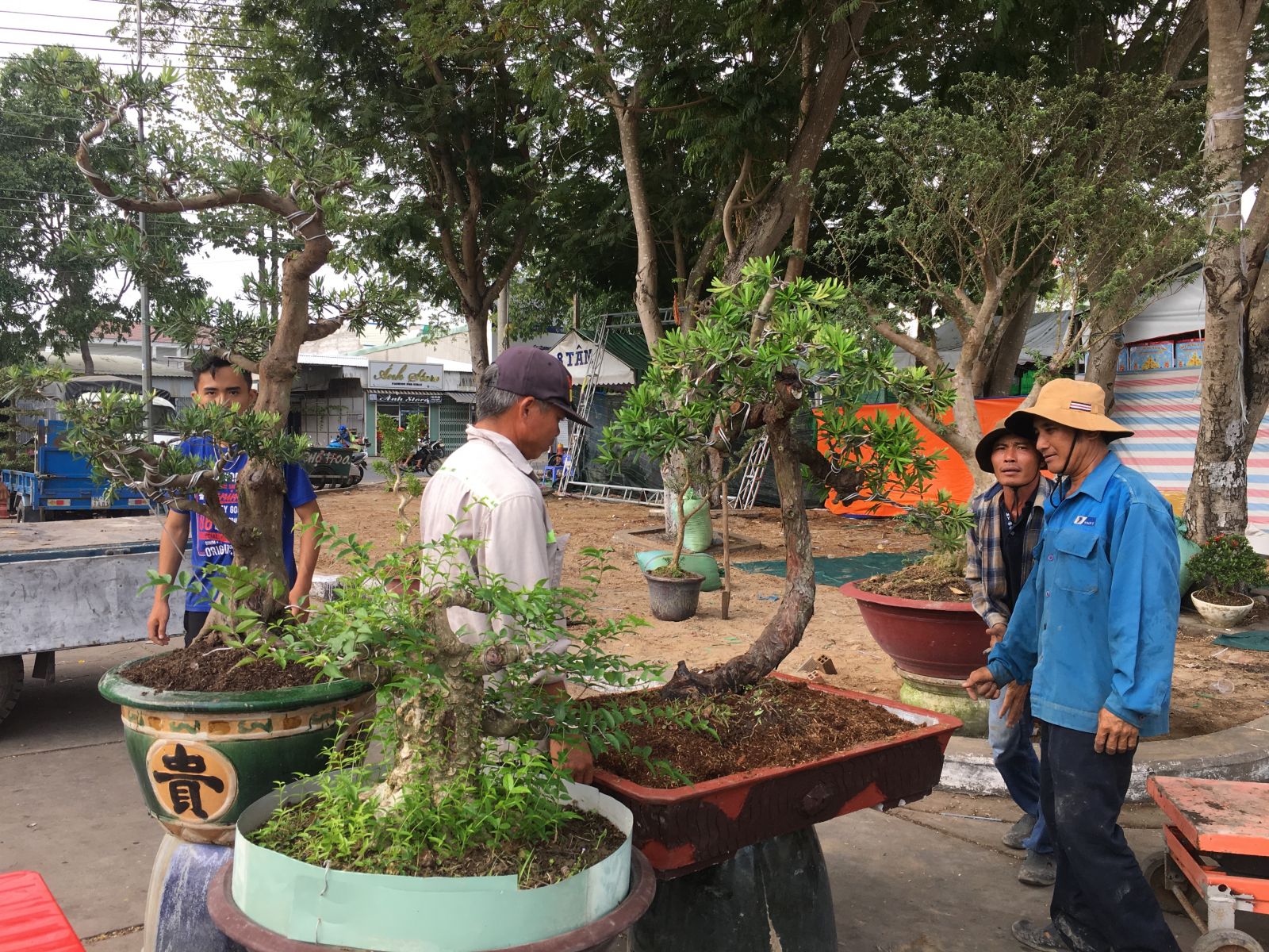 Long An: Trăm hoa khoe sắc ở chợ hoa Xuân