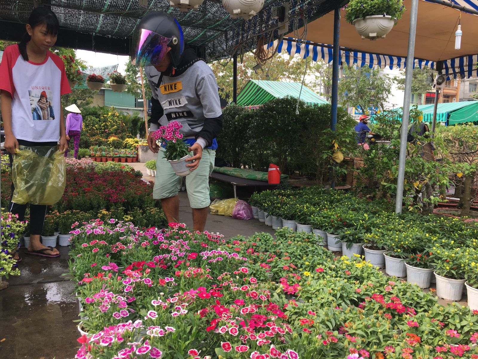 Long An: Trăm hoa khoe sắc ở chợ hoa Xuân