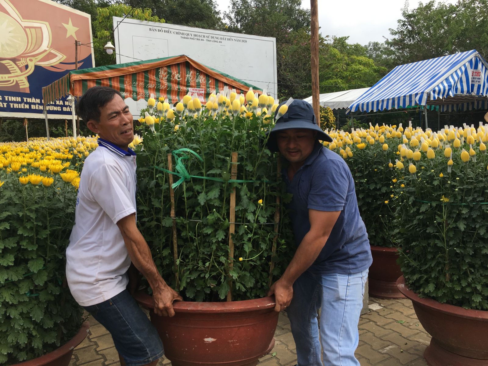 Long An: Trăm hoa khoe sắc ở chợ hoa Xuân