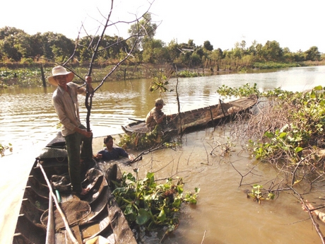 Thú vui dỡ chà trên sông
