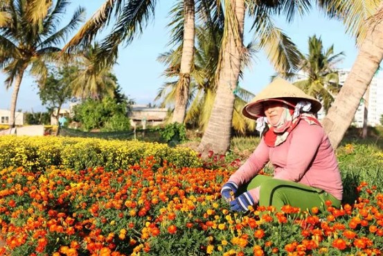 Thăm làng hoa Tết ở Mỹ Bình